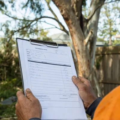 Reading a written tree removal quote on site in Bendigo