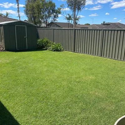 After: Summer limb drop, emergency cleanup, Bendigo