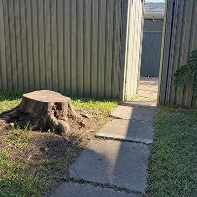 Before: Stump grind through rocky clay, tight side access, Bendigo