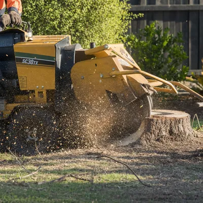 Stump Grinding in Bendigo. Stump grinding below grade through rocky and clay soils so you can replant, returf or pave. Narrow machines available for tight backyards.