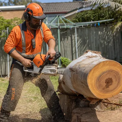 Tree Removal in Bendigo. Safe removal of dead, heat-stressed or unwanted trees of any size, including ironbarks and red gums close to houses and powerlines.